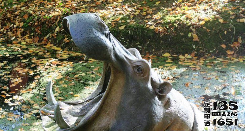 動物園里擺放的張著大嘴的玻璃鋼仿真創(chuàng)意河馬雕塑